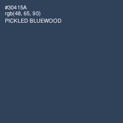 #30415A - Pickled Bluewood Color Image